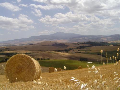 Agriturismo Il Colombaiolo Villa Pienza Exterior photo